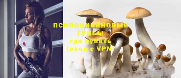экстази Гусев