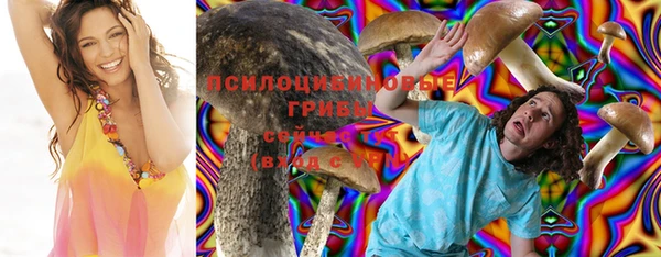 мескалин Гусь-Хрустальный