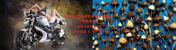 мдпв Горно-Алтайск